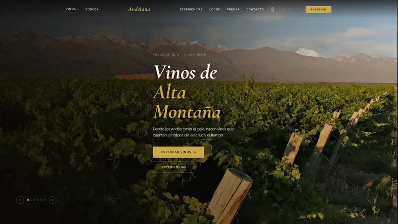 Bodega Andeluna — Rediseño web luxury con catálogo de vinos y booking
